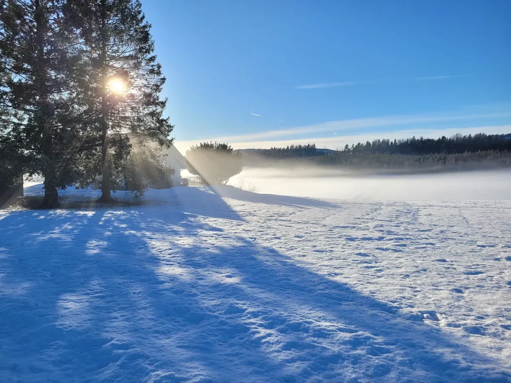 Bright winter day in Norway featuring deep sparkling snow, frost on trees, and brilliant sun shining through the cold air.
